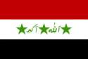 iraqflag.jpg (1718 bytes)