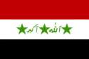 iraqflag.jpg (1718 bytes)